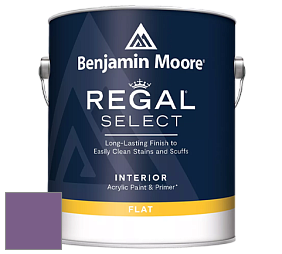 Benjamin Moore 547 Regal Select Waterborne Interior Flat Finish краска цвет NCS S 4040-R50B 