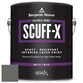Benjamin Moore 484 Ultra Spec SCUFF-X Interior Matte Finish краска цвет HC-166 BM HC-166