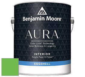 Benjamin Moore Aura 524 Waterborne Interior Eggshell Finish краска цвет NCS S 0575-G20Y 