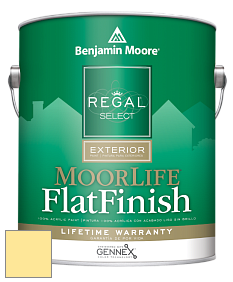 Benjamin Moore W105 Regal Select Exterior Paint-MoorLife Flat Finish краска цвет 2022-50 Sundance
