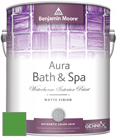 Benjamin Moore Aura 532 Bath & Spa Waterborne Interior Paint Matte Finish краска цвет 2033-20 Peppermint Leaf