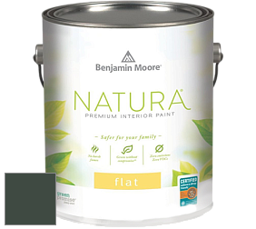 Benjamin Moore 512 Natura Interior Flat Finish матовая краска цвет NCS S 8010-G10Y 