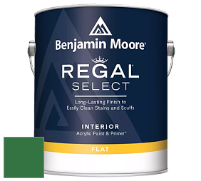 Benjamin Moore 547 Regal Select Waterborne Interior Flat Finish краска цвет 2037-10 Amazon Moss