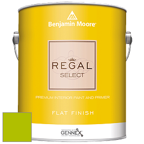 Benjamin Moore 547 Regal Select Waterborne Interior Flat Finish краска цвет 2026-20 Margarita