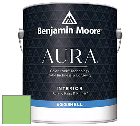 Benjamin Moore Aura 524 Waterborne Interior Eggshell Finish краска цвет 2032-40 Citrus Green