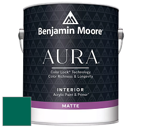 Benjamin Moore Aura 522 Interior Paint - Matte краска цвет NCS S 4550-B80G 