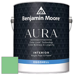 Benjamin Moore Aura 524 Waterborne Interior Eggshell Finish краска цвет NCS S 1050-G10Y 