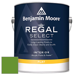 Benjamin Moore 547 Regal Select Waterborne Interior Flat Finish краска цвет NCS S 2075-G30Y 