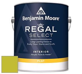 Benjamin Moore 547 Regal Select Waterborne Interior Flat Finish краска цвет NCS S 1070-G60Y 
