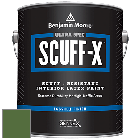 Benjamin Moore 485 Ultra Spec SCUFF-X Interior Eggshell Finish краска цвет NCS S 4550-G30Y 