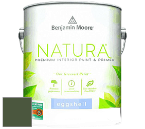 Benjamin Moore 513 Natura Interior Eggshell Finish краска с блеском цвет RAL 6003 