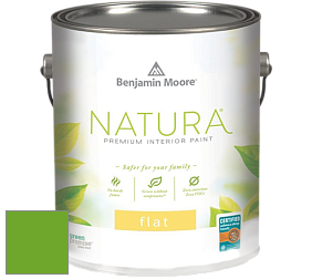 Benjamin Moore 512 Natura Interior Flat Finish матовая краска цвет 2030-20 Tropical Seaweed Green