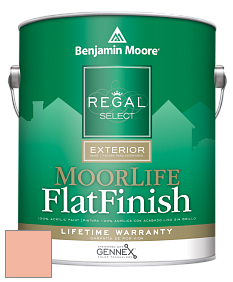 Benjamin Moore W105 Regal Select Exterior Paint-MoorLife Flat Finish краска цвет 073 Amber Winds