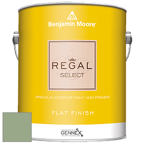 Benjamin Moore 547 Regal Select Waterborne Interior Flat Finish краска цвет NCS S 3020-G30Y 