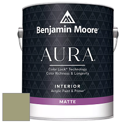 Benjamin Moore Aura 522 Interior Paint - Matte краска цвет AF-405 