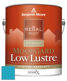 Benjamin Moore W103 Regal Select Exterior Paint-MoorGard Low Lustre Finish краска цвет 769 Dream I Can Fly