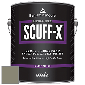 Benjamin Moore 484 Ultra Spec SCUFF-X Interior Matte Finish краска цвет NCS S 5010-G70Y 