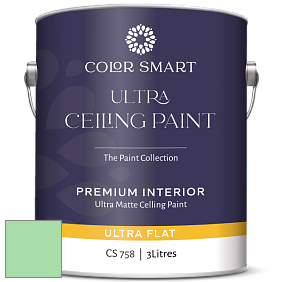 COLOR SMART CS 758 ULTRA CEILING PAINT ультраматовая краска цвет NCS S 0540-G10Y 