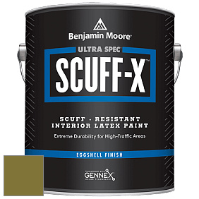 Benjamin Moore 485 Ultra Spec SCUFF-X Interior Eggshell Finish краска цвет NCS S 4550-G70Y 