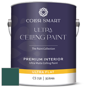COLOR SMART CS 758 ULTRA CEILING PAINT ультраматовая краска цвет 2048-10 Sherwood Forest