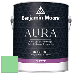 Benjamin Moore Aura 522 Interior Paint - Matte краска цвет NCS S 0550-G10Y 
