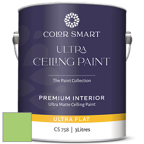 COLOR SMART CS 758 ULTRA CEILING PAINT ультраматовая краска цвет 2030-40 Spring Leaf