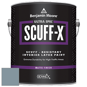 Benjamin Moore 484 Ultra Spec SCUFF-X Interior Matte Finish краска цвет AF-550 