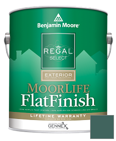 Краска Regal Select Exterior Paint-MoorLife Flat Finish (W105) цвет 2051-20 Pine Green