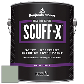 Benjamin Moore 484 Ultra Spec SCUFF-X Interior Matte Finish краска цвет NCS S 3010-G20Y 