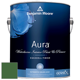 Benjamin Moore Aura 524 Waterborne Interior Eggshell Finish краска цвет NCS S 4550-G20Y 