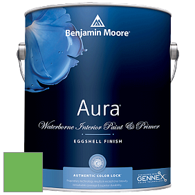 Benjamin Moore Aura 524 Waterborne Interior Eggshell Finish краска цвет NCS S 1070-G20Y 