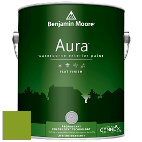Benjamin Moore Aura 629 Waterborne Exterior Flat Finish краска цвет 2028-10 Iguana Green