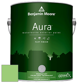 Benjamin Moore Aura 629 Waterborne Exterior Flat Finish краска цвет 2032-40 Citrus Green