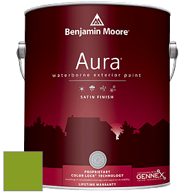 Benjamin Moore Aura 631 Waterborne Exterior Satin Finish краска цвет 2028-10 Iguana Green