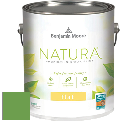 Benjamin Moore 512 Natura Interior Flat Finish матовая краска цвет 560 Sullivan Green
