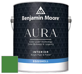 Benjamin Moore Aura 524 Waterborne Interior Eggshell Finish краска цвет NCS S 2570-G20Y 
