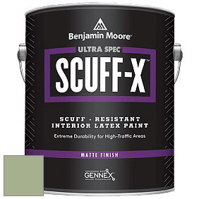 Benjamin Moore 484 Ultra Spec SCUFF-X Interior Matte Finish краска цвет AF-450 