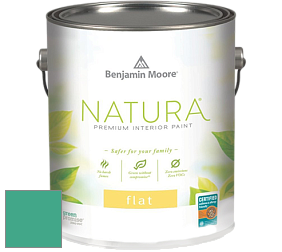 Benjamin Moore 512 Natura Interior Flat Finish матовая краска цвет 607 Albuquerque Teal