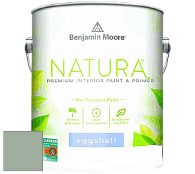 Benjamin Moore 513 Natura Interior Eggshell Finish краска с блеском цвет NCS S 3010-G10Y 