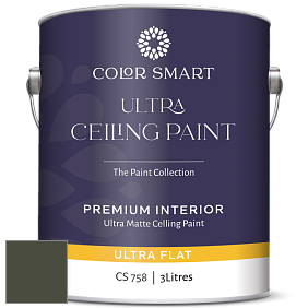 COLOR SMART CS 758 ULTRA CEILING PAINT ультраматовая краска цвет NCS S 8010-G50Y 