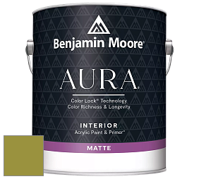 Benjamin Moore Aura 522 Interior Paint - Matte краска цвет 2146-20 Forest Moss