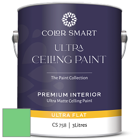 COLOR SMART CS 758 ULTRA CEILING PAINT ультраматовая краска цвет NCS S 0560-G10Y 