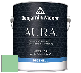 Benjamin Moore Aura 524 Waterborne Interior Eggshell Finish краска цвет NCS S 1040-G10Y 