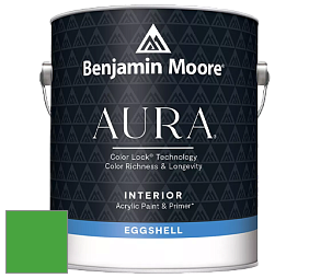 Benjamin Moore Aura 524 Waterborne Interior Eggshell Finish краска цвет RAL 6018 