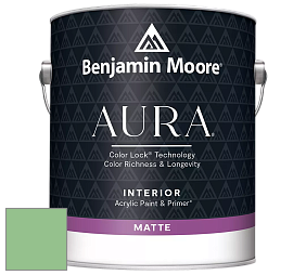 Benjamin Moore Aura 522 Interior Paint - Matte краска цвет 572 Branch Brook Green