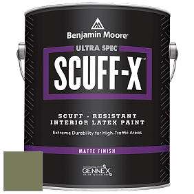 Benjamin Moore 484 Ultra Spec SCUFF-X Interior Matte Finish краска цвет RAL 6013 