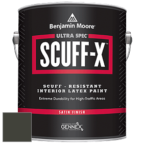 Benjamin Moore 486 Ultra Spec SCUFF-X Interior Satin Finish краска цвет NCS S 8505-G50Y 