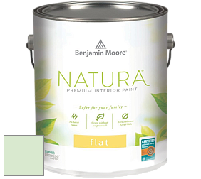 Benjamin Moore 512 Natura Interior Flat Finish матовая краска цвет 568 Parkside Dunes