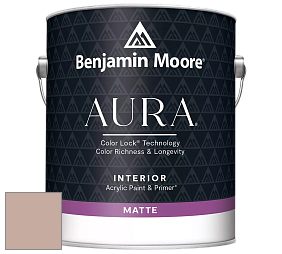 Benjamin Moore Aura 522 Interior Paint - Matte краска цвет 2096-50 Cappuccino