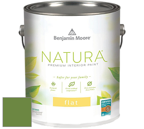 Benjamin Moore 512 Natura Interior Flat Finish матовая краска цвет NCS S 3060-G30Y 
